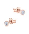 Silver Stud Earring STS-6892